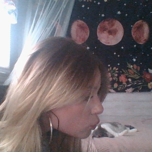 Meet your Posher, Lily - Picture 3 of 4